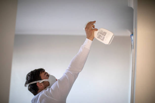 Trusted Rosedale, CA Mold Removal Experts
