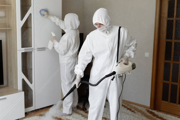 Best Attic Mold Removal  in Rosedale, CA